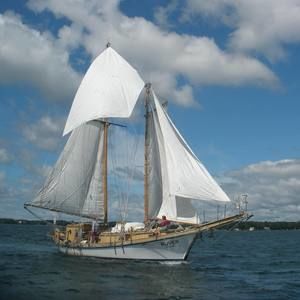 Meet your Posher, Omar